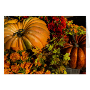 Calabaza Y Arreglo De Mamá