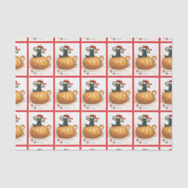 Calabaza Y Papel Tejido De Gato Negro (Anverso)