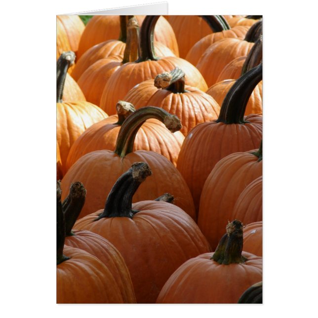 Calabazas (Frente)