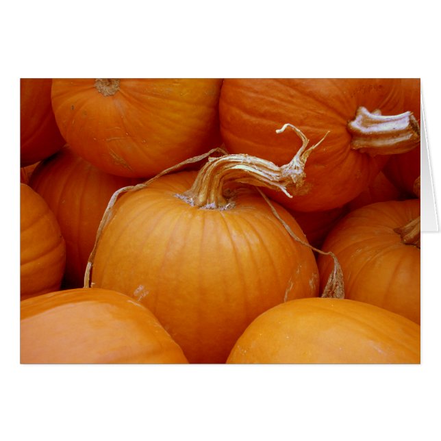 Calabazas (Anverso (Horizontal))