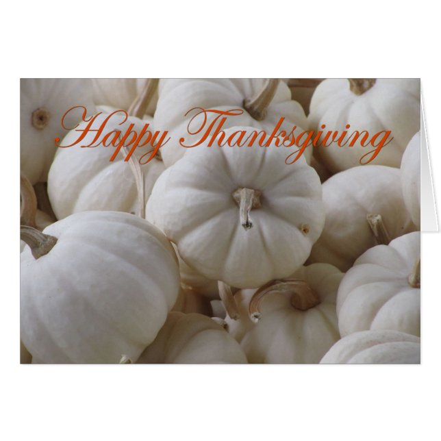 Calabazas blancas de Acción de Gracias (Anverso (Horizontal))