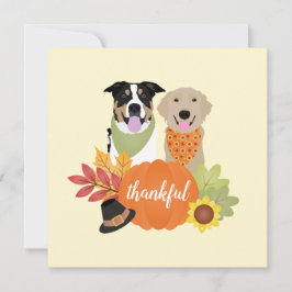 Calabazas de la cosecha de Acción de Gracias para 