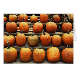 Calabazas de otoño