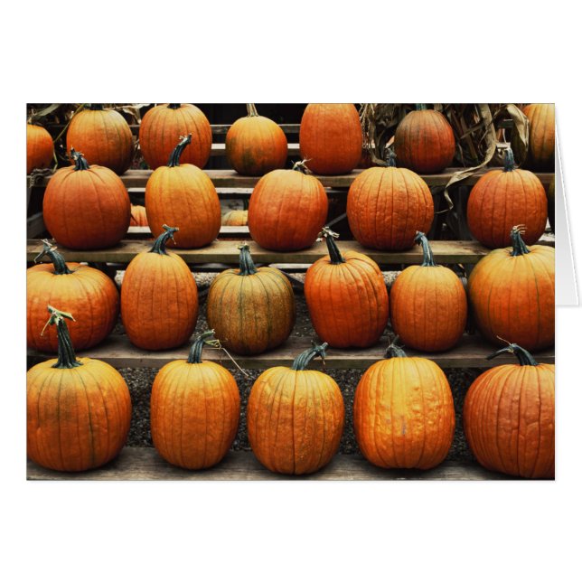 Calabazas de otoño (Anverso (Horizontal))