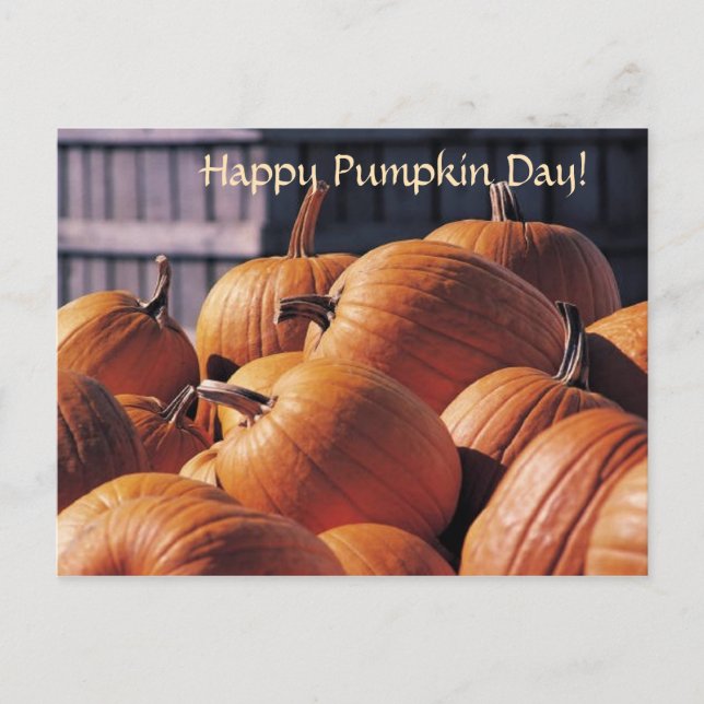 Calabazas en un Contenedor - Tarjeta Postal de Hal (Anverso)