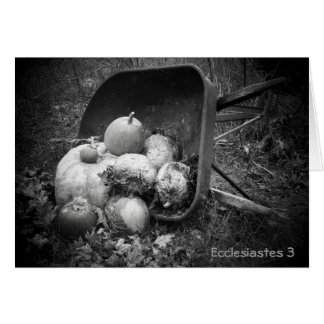 Calabazas en una carretilla