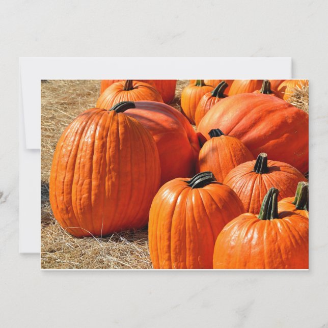 calabazas en venta (Anverso)