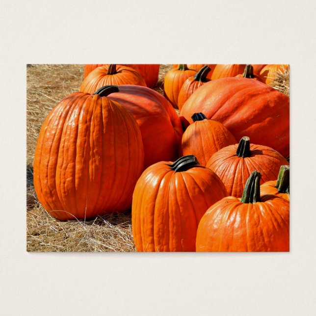calabazas en venta (Frente)