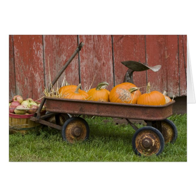 Calabazas en viejo vagón (Anverso (Horizontal))