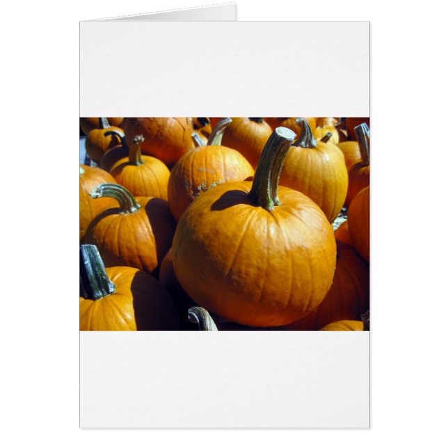 Calabazas naranjas (Frente)