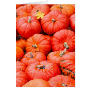 Calabazas naranjas en el mercado, Alemania