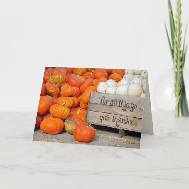 Calabazas para agradecimiento por el Día de Acción (Anverso)