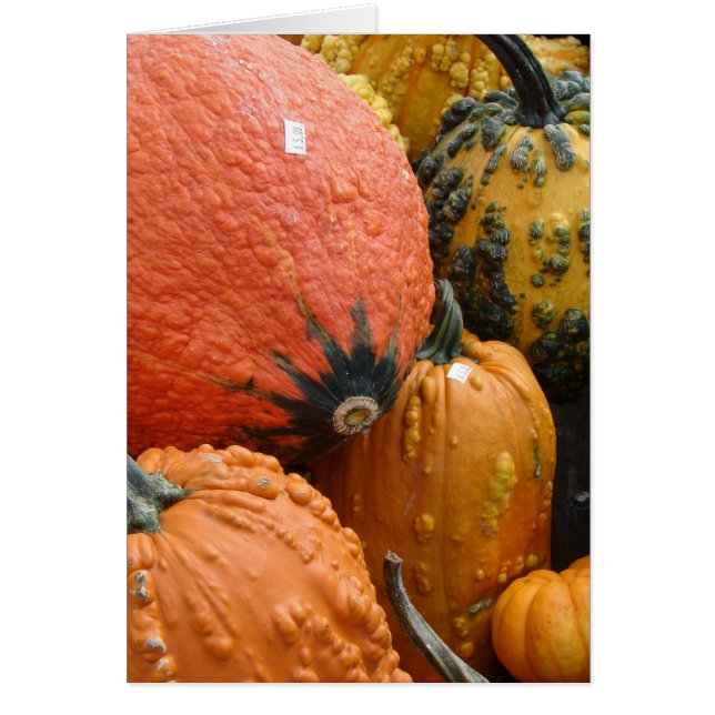 Calabazas y calambres (Frente)