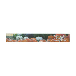 Calabazas y crisantemos Fotografía de la cosecha d