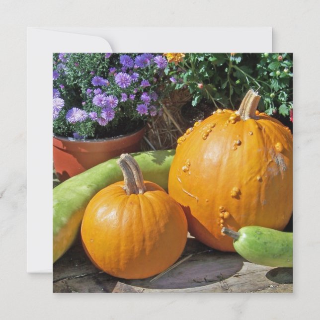 Calabazas y flores de otoño (Anverso)