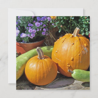 Calabazas y flores de otoño