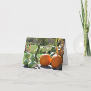 Calabazas y Fotografías de la Naturaleza de Otoño