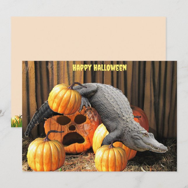 Calabazas y gatitos de Halloween (Anverso / Reverso)