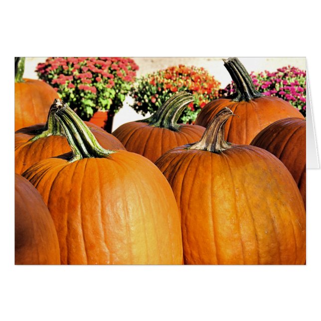 Calabazas y Mamáes (Anverso (Horizontal))