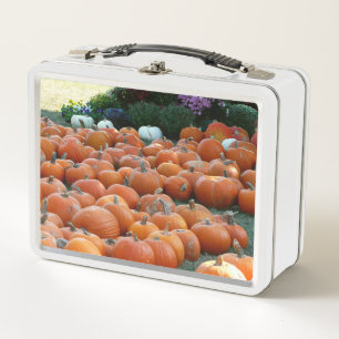 Calabazas y Mamáes Fotografía de la cosecha de oto