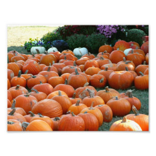 Calabazas y Mamáes Fotografía de la cosecha de oto