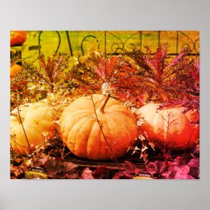 Calabazas Y Plantas Caídas Arte Molesto