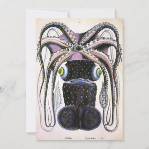 Calamar gigante o pulpo, animal de vida marina vin