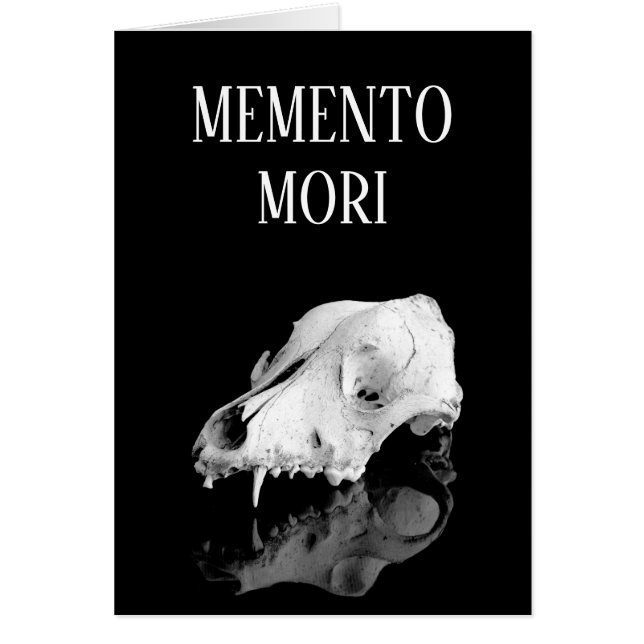 Calavera animal (Frente)