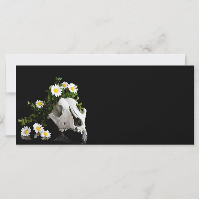 Calavera animal con una corona de flores silvestre (Anverso)