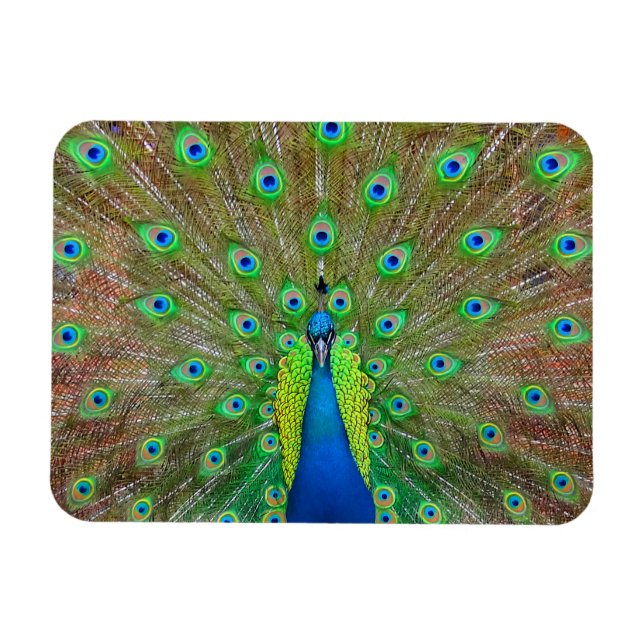 Calavera azul #3 imán (Horizontal)