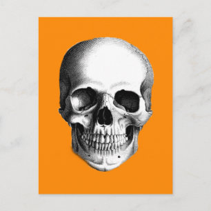 Calavera humana en postal de Naranja de Halloween