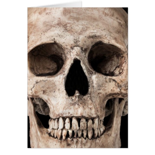 Calavera vieja de Weathered (Frente)