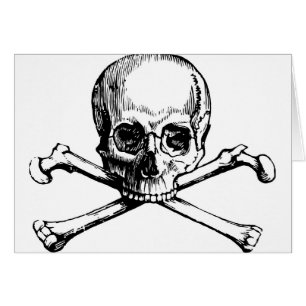 Calavera y huesos