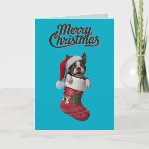 Calcetín de Navidad de Boston Terrier