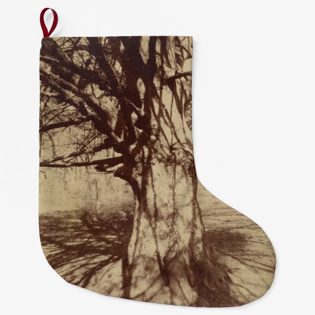 Calcetín Navideño Grande Árbol de haya (por Eugène Atget) (Anverso)