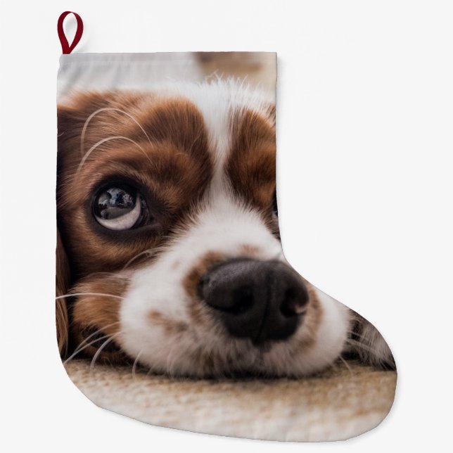 Calcetín Navideño Grande Cocker Spaniel Dog de ojos tristes (Anverso)