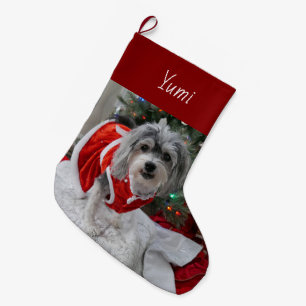 Calcetín Navideño Grande Cute Havanese