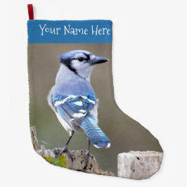 Calcetín Navideño Grande El lindo Jay-Songbird azul de Jay en Stump de árbo
