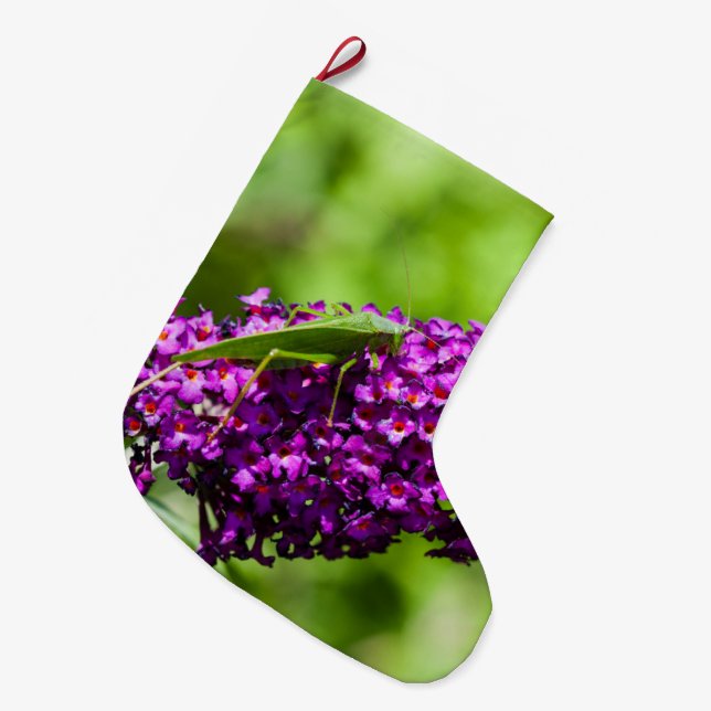 Calcetín Navideño Grande energía katydid (Frente (Colgado))