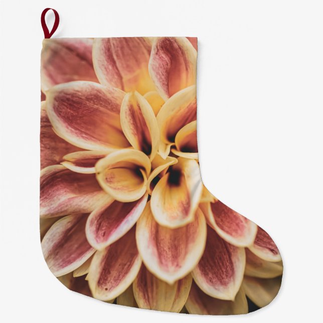 Calcetín Navideño Grande Flor Dahlia de verano (arte floral) (Anverso)