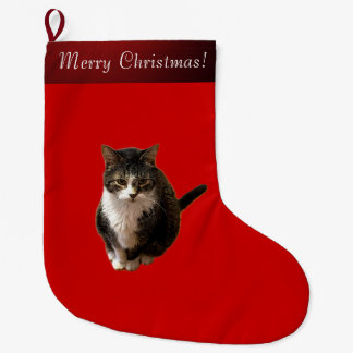 Calcetín Navideño Grande Foto de gato