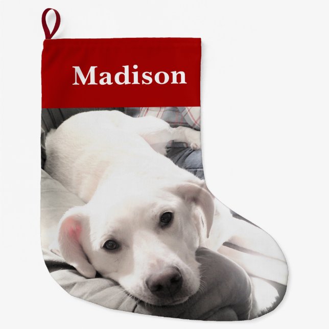 Calcetín Navideño Grande Foto de Red de Perro Cúpido (Anverso)