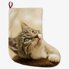 Calcetín Navideño Grande Gatito lindo con una pata al aire libre