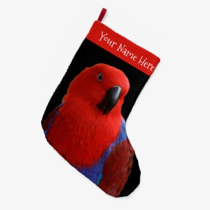 Calcetín Navideño Grande Hermoso "Lady in Red" Eclectus Parrot