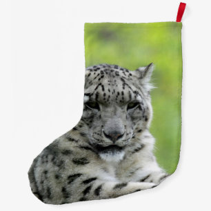Calcetín Navideño Grande Leopard_2015_0310