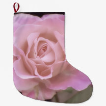 Magnífica Rosa Rosa