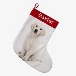 Calcetín Navideño Grande Mascota Dog Photo Holiday Golden Retriever