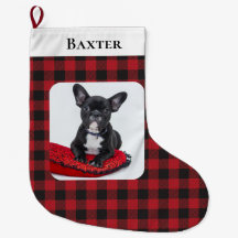 Perro fotográfico Mascota Rústico Rojo Negro revis