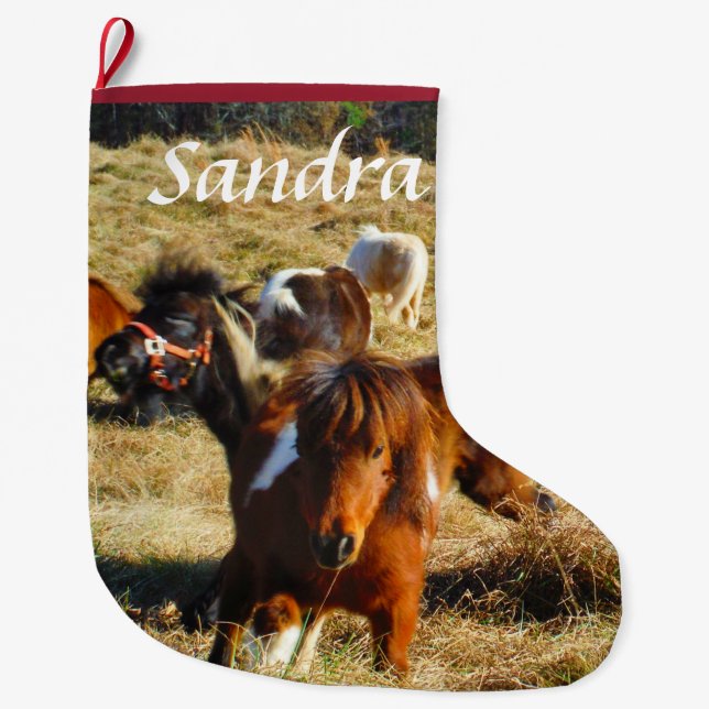 Calcetín Navideño Grande Personalización de ponis de caballo en miniatura (Anverso)