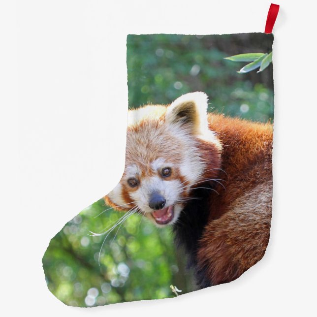 Calcetín Navideño Grande Red_Panda_2015_0306 (Reverso)